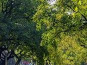 está abierta convocatoria para programa “Anfitriones Turísticos Registrados ATR” Córdoba