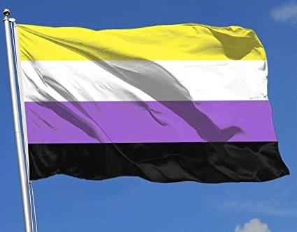 Día internacional de la visibilidad No Binaria