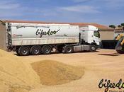 Bifeedoo proyecta fábrica piensos ecológicos como apuesta futuro