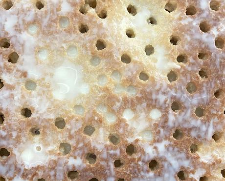 delikatissen traditional mexican dessert tradicion mexicana tarta leche evaporada y condensada tarta casera postre mexicano mexican dessert mexican cake dulce mexicano 3 leches dessert 3 leches cake delikatissen traditional mexican dessert tradicion mexicana tarta leche evaporada y condensada tarta casera postre mexicano mexican dessert mexican cake dulce mexicano 3 leches dessert 3 leches cake