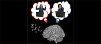 ¿Qué hace el Cerebro mientras Dormimos?