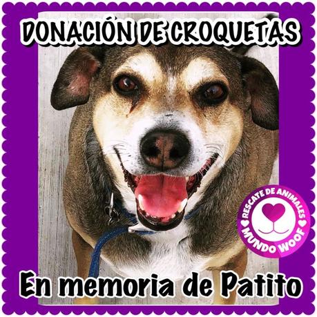 En memoria de perrito regalaran costales de alimento a quien ayude perros de la calle