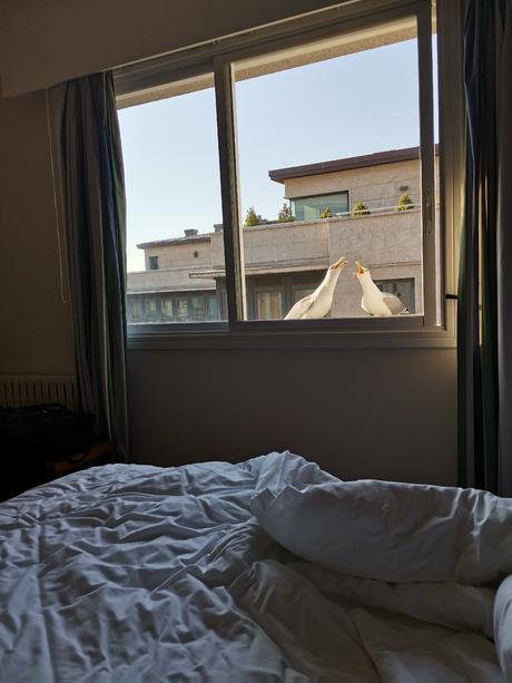 PERDERSE ES UN CAMINO