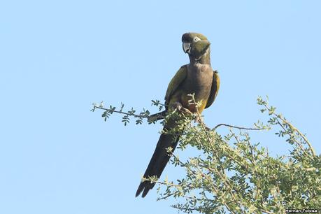 Ruta 1, playa y aves Ruta 1, playa y aves