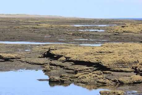 Ruta 1, playa y aves