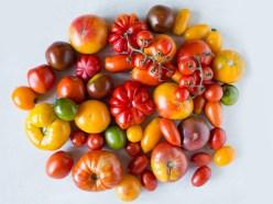 Las variedades de tomate más populares en España