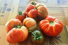 Las variedades de tomate más populares en España Las variedades de tomate más populares en España