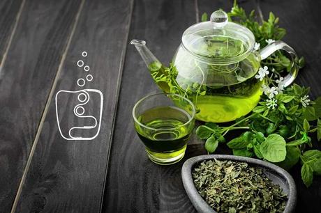 ¿Cuales son los mejores tipos de té?