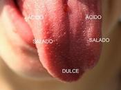 ¿como distinguimos sabores?
