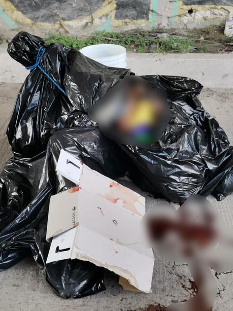 Localizan dos cuerpos embolsados  en el bulevar Río Españita