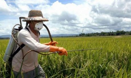 La Otra Peste: Matando Niños