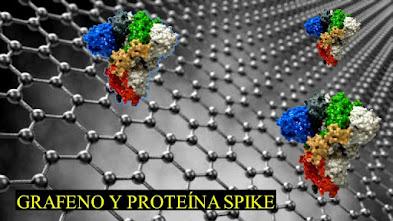Grafeno y Proteína Spike por la Dra. Acevedo