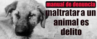 Pacma pretende modificar el Código Penal en materia de maltrato animal. Pacma pretende modificar el Código Penal en materia de maltrato animal.