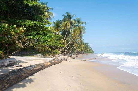 Gabón, maravillosa selva, Parques Nacionales y playas