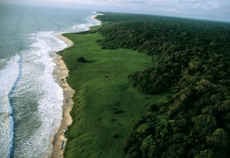 Gabón, maravillosa selva, Parques Nacionales y playas