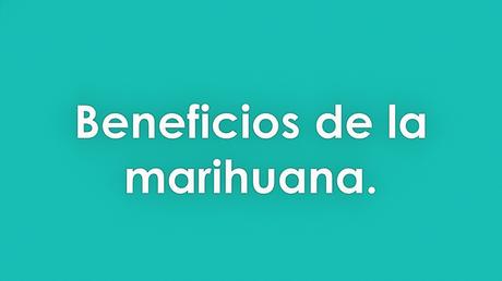 8 beneficios de la marihuana