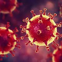 El Coronavirus ya ha causado graves epidemias en el pasado