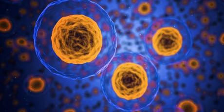 EXCLUSIVA O NO, POCOS SE ATREVEN A PUBLICAR