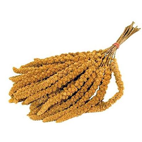 Semillas de mijo de Mercadona, las mejores para comprar online Semillas de mijo de Mercadona, las mejores para comprar online