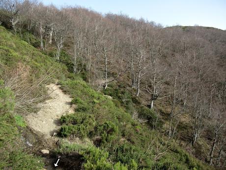 Renorios (Coto Beyo)-El Cuitu la Texera-Xurbíu-El Mayéu la Boya