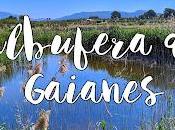 Albufera Gaianes