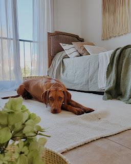 El cuarto verde estrena verdes: color y textiles El cuarto verde estrena verdes: color y textiles