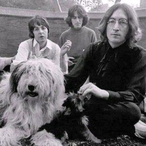 Mejores Grupos de Rock y sus Mascotas Martha y Los Beatles