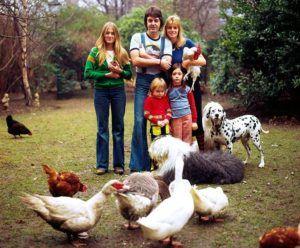 Mejores Grupos de Rock y sus Mascotas Mascotas Beatles