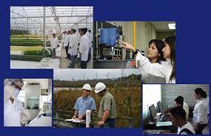 INGENIERIA: ¿TEORIA O TECNICA?