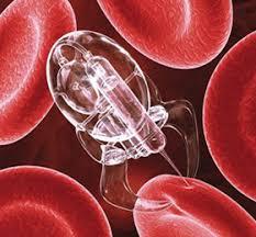 Resultado de imagen para nanotecnologia