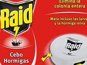 Trampas para hormigas Mercadona, mejores comprar online