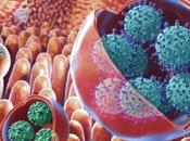 Norovirus, virus vómito preocupa alta contagiosidad