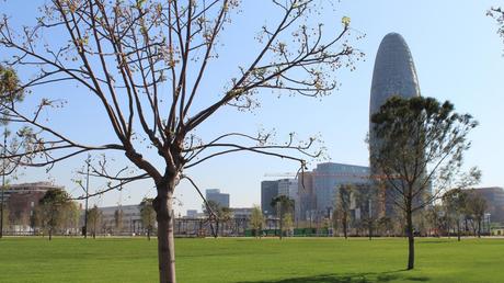 Barcelona tendrá 18,6 hectáreas más de verde en 2023