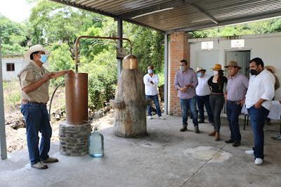 MUESTRAN PRODUCTORES TRADICIÓN MEZCALERA EN EL EDOMÉX