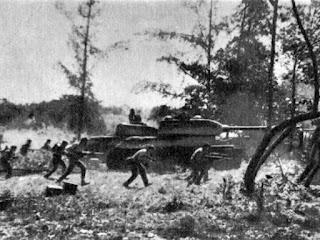 Bahía Cochinos en El Confidencial