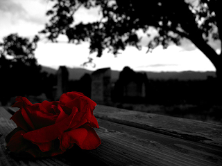 Mes, y año, negro para el rock y el metal Mes, y año, negro para el rock y el metal