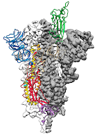 Morir antes de Nacer