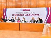 Llaman consolidar mecanismos participación ciudadana