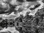 Jean Michel Jarre Amazonia (2021)