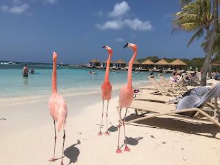 Los Mejores 10 All Inclusive del Caribe