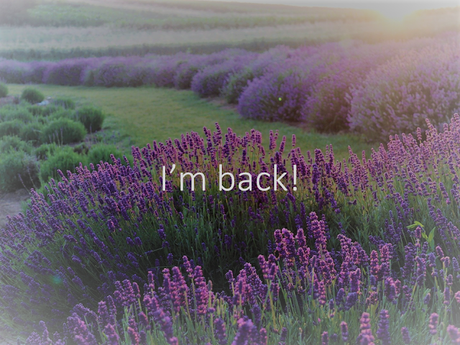 ¡Estoy de vuelta!