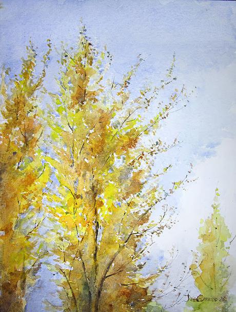 Julio 2021: Dibujos y acuarelas