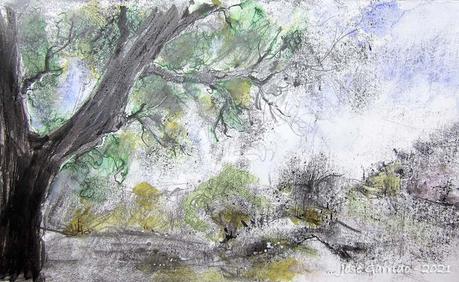 Julio 2021: Dibujos y acuarelas