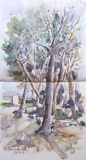 Julio 2021: Dibujos y acuarelas