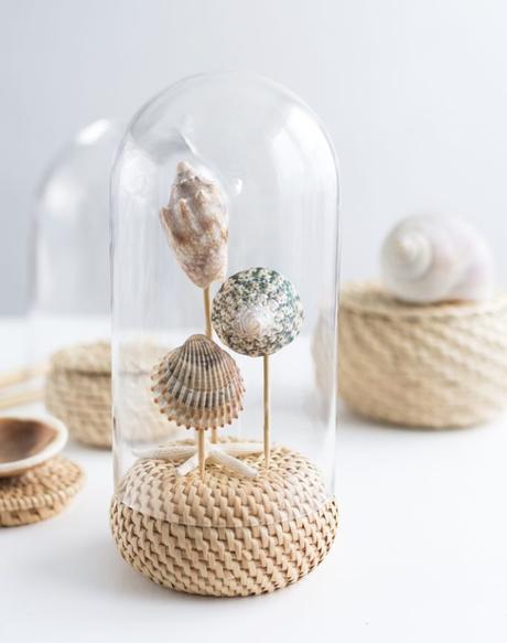4 diy con conchas de mar 4 diy con conchas de mar