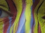 Ganar cansancio. Psicoanálisis delirio Capgras.