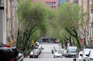 El surtido de la encrucijada en Catalunya Plural El surtido de la encrucijada en Catalunya Plural