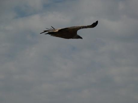 Sarbil desde Etxauri Sarbil desde Etxauri