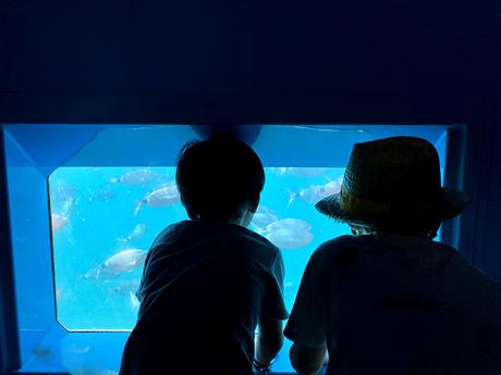 Excursión de medio día a la Isla de Tabarca (Alicante) Excursión de medio día a la Isla de Tabarca (Alicante)