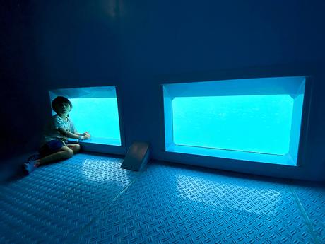 Excursión de medio día a la Isla de Tabarca (Alicante) Excursión de medio día a la Isla de Tabarca (Alicante)